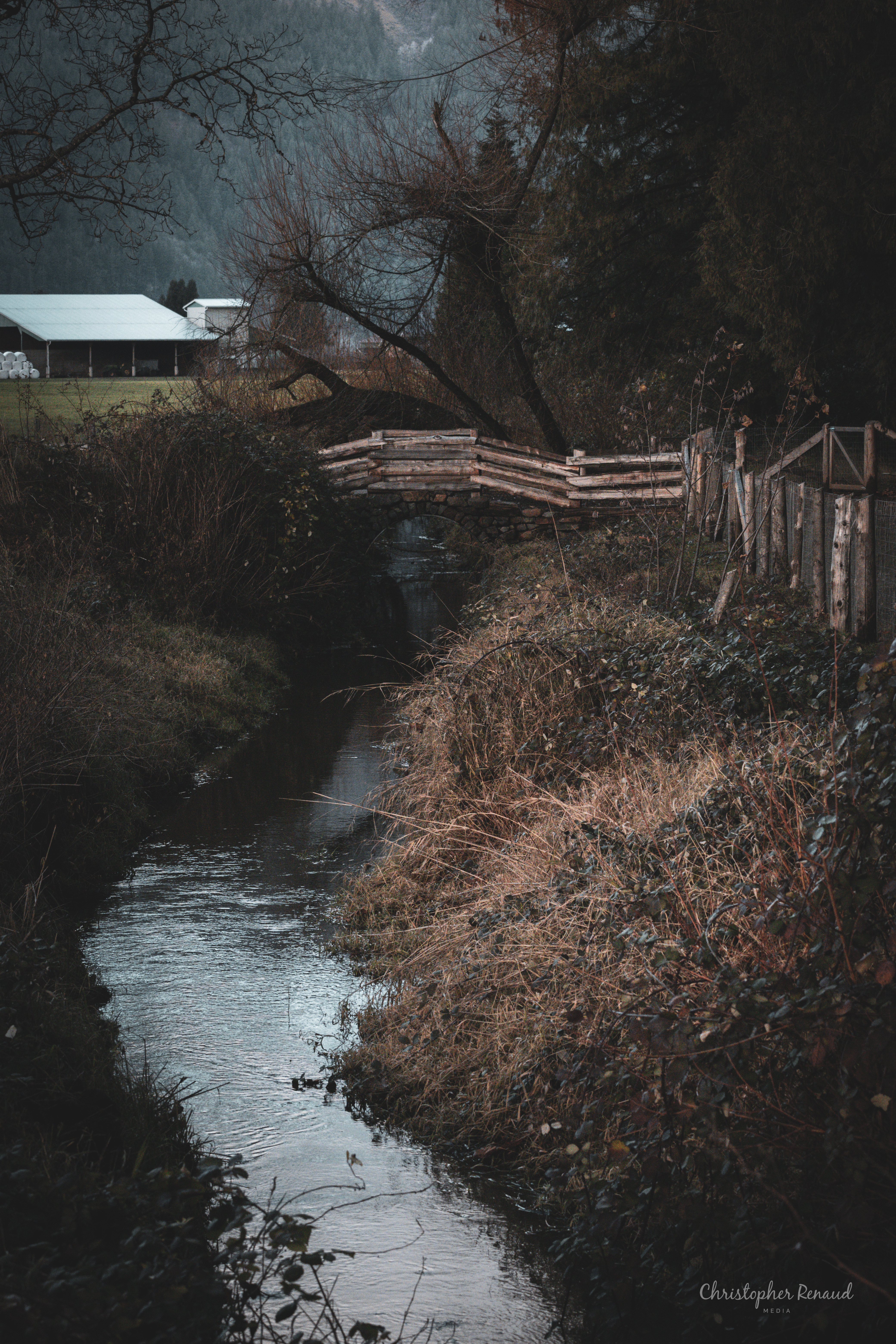 Captivating portrait by Chris R Media in Agassiz BC, highlighting natural beauty and character.
