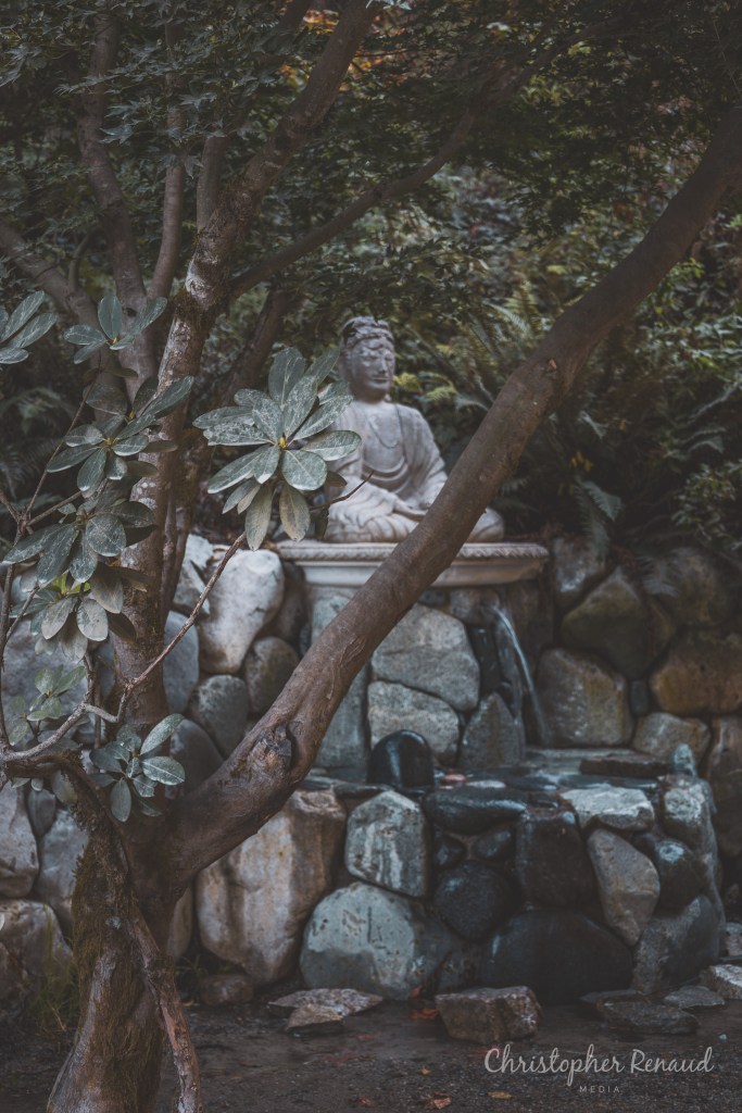 Harrison BC Buddha Statue Photography 